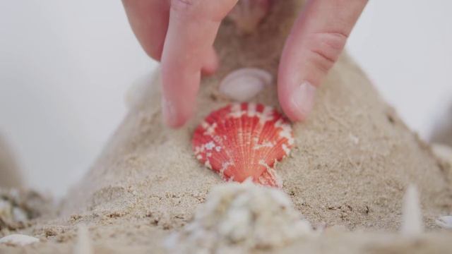 NH COLLECTION DUBAI THE PALM 4* | 316000.ru - лучшие цены на Ваши путешествия! смотреть онлайн