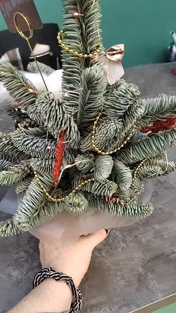 Елка с Нобелиса своими руками