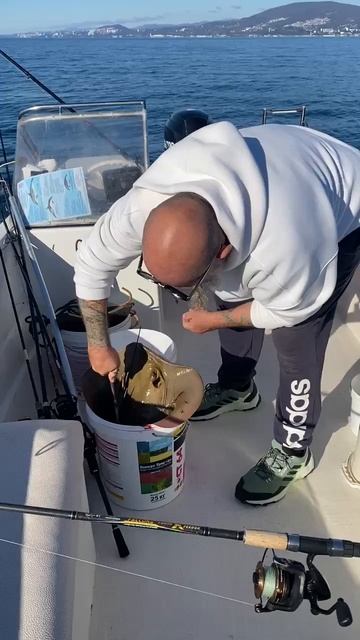 Рекорд прошлого года побит. Морской кот 13 кг. смотреть онлайн