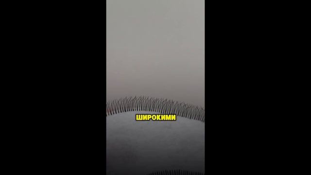 Почему ресницы получаются лохматыми?! смотреть онлайн
