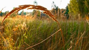 Шизотерия и безпутство.