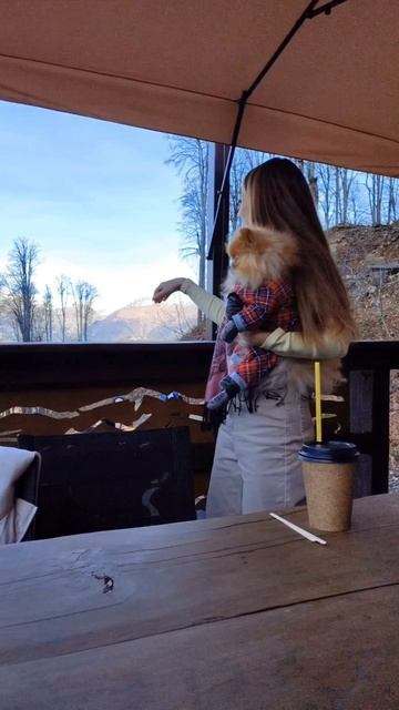 Красная Поляна. Роза Хутор. Сочи