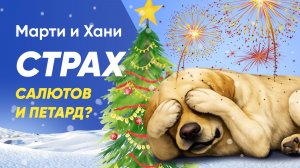 СОБАКА БОИТСЯ САЛЮТОВ И ПЕТАРД? / КАК ИЗБАВИТЬ ОТ СТРАХА И СПОКОЙНО ВСТРЕТИТЬ НОВЫЙ ГОД? / ЛАЙФХАКИ