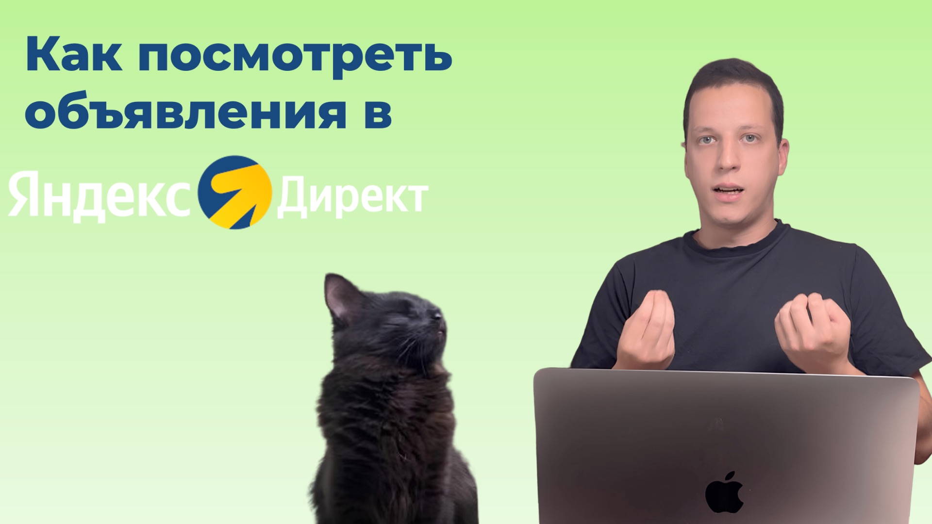 Как посмотреть объявления в Яндекс Директ смотреть онлайн