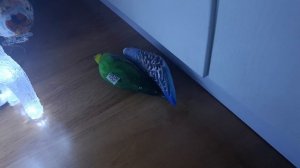 1 серия сериала "Те самые которые двое"