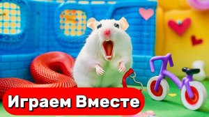 УМНЫЙ ХОМЯК СБЕГАЕТ ИЗ СЕКРЕТНОЙ ТЮРЬМЫ С ЛОВУШКАМИ 🐹 ВИДЕО ПРО ХОМЯКА ДЛЯ ДЕТЕЙ часть 2