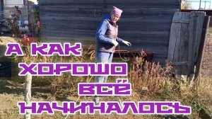 Сломала пилу, посадила ежевику. Туман - интересное явление природы. 77 серия