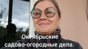 Октябрьские садово-огородные дела.