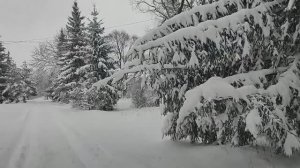Зимняя сказка!!! Солим капусту. г.Орёл.Торгово развлекательный центр Гринн!!!