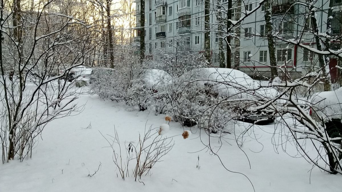 Поездка за продуктами смотреть онлайн