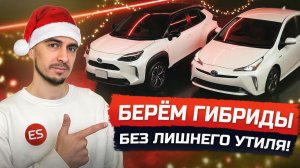 ЦЕНЫ НА ГИБРИДЫ 2026 ❗️ Что привезти в следующем году?