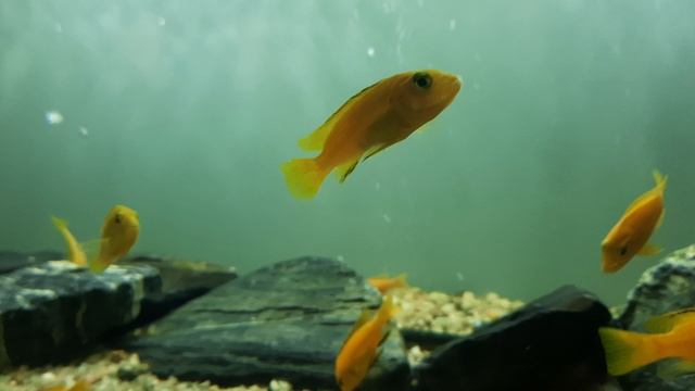 Аквариум отеля Marins 4☆ Н.Новгород(0+) 22.12.25