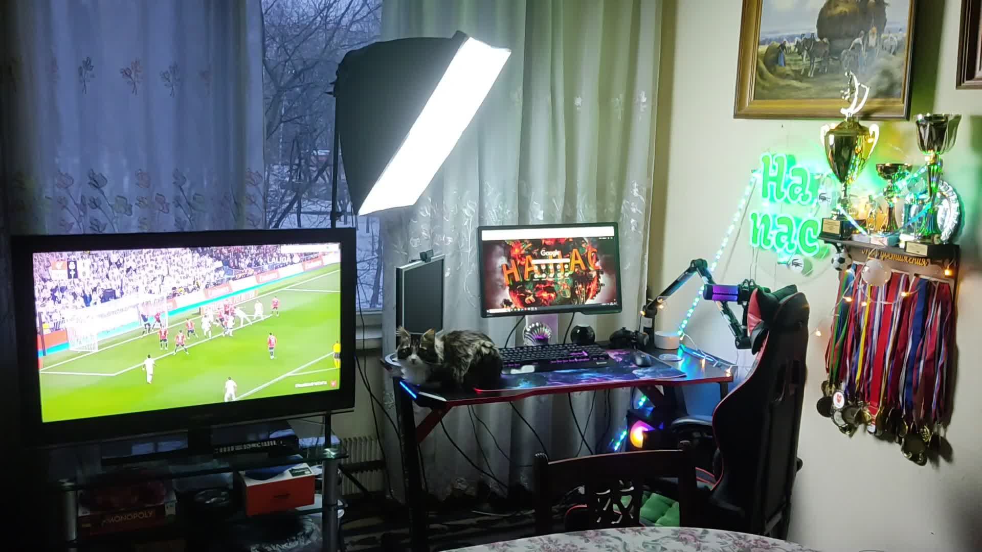 Вечерний стрим| ActiveMatter