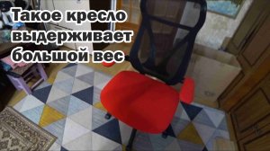 Обзор покупок с маркетплейсов: поролон, ёлка, кальсоны, хоккейная лента, гирлянда роса, магнит