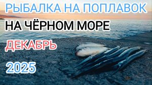 Рыбалка на поплавок на море зимой. Сарган и кефаль в декабре