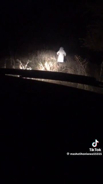 паронормалное 4 смотреть онлайн