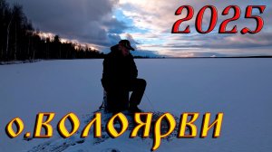 Оз. Волоярви 2025