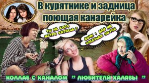 🌲😂 ЗАБОЛТАЛИ И ВЗОРВАЛИ МОЗГ ТУПОЙ МОШЕННИЦЕ