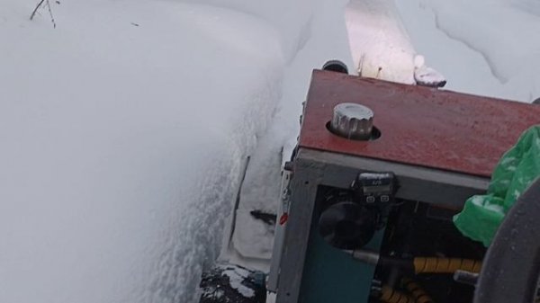 Пчёлы против мёда, или как достал снег))