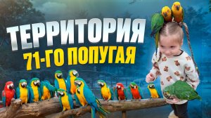 Территория 71-го попугая