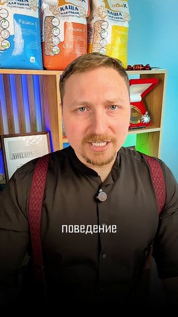 Вы тоже ТАК делаете? 3 ошибки, ломающих характер собаки #воспитаниесобаки #дрессировка #кашадлясобак