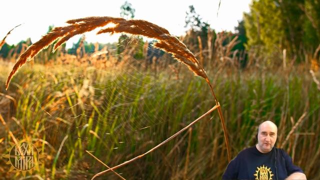 Уровни любви.