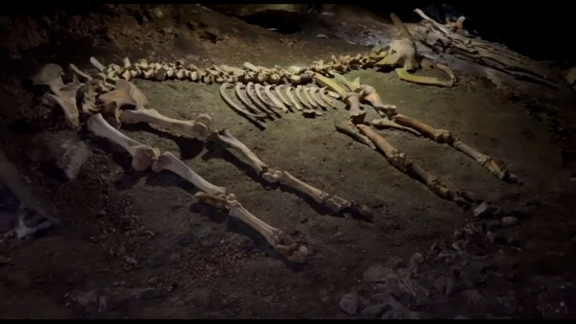 Крым | Мамонтовая пещера