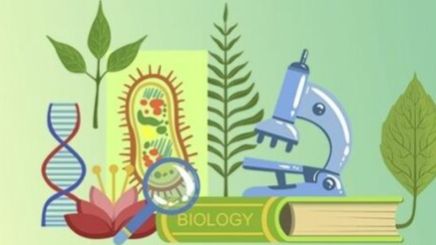 Биология 9 класс. Эндокринная регуляция. смотреть онлайн