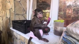 СМЕХ, да и только! Анфиса думает что я без нее съела конфету и пытается найти ее всеми силами)))