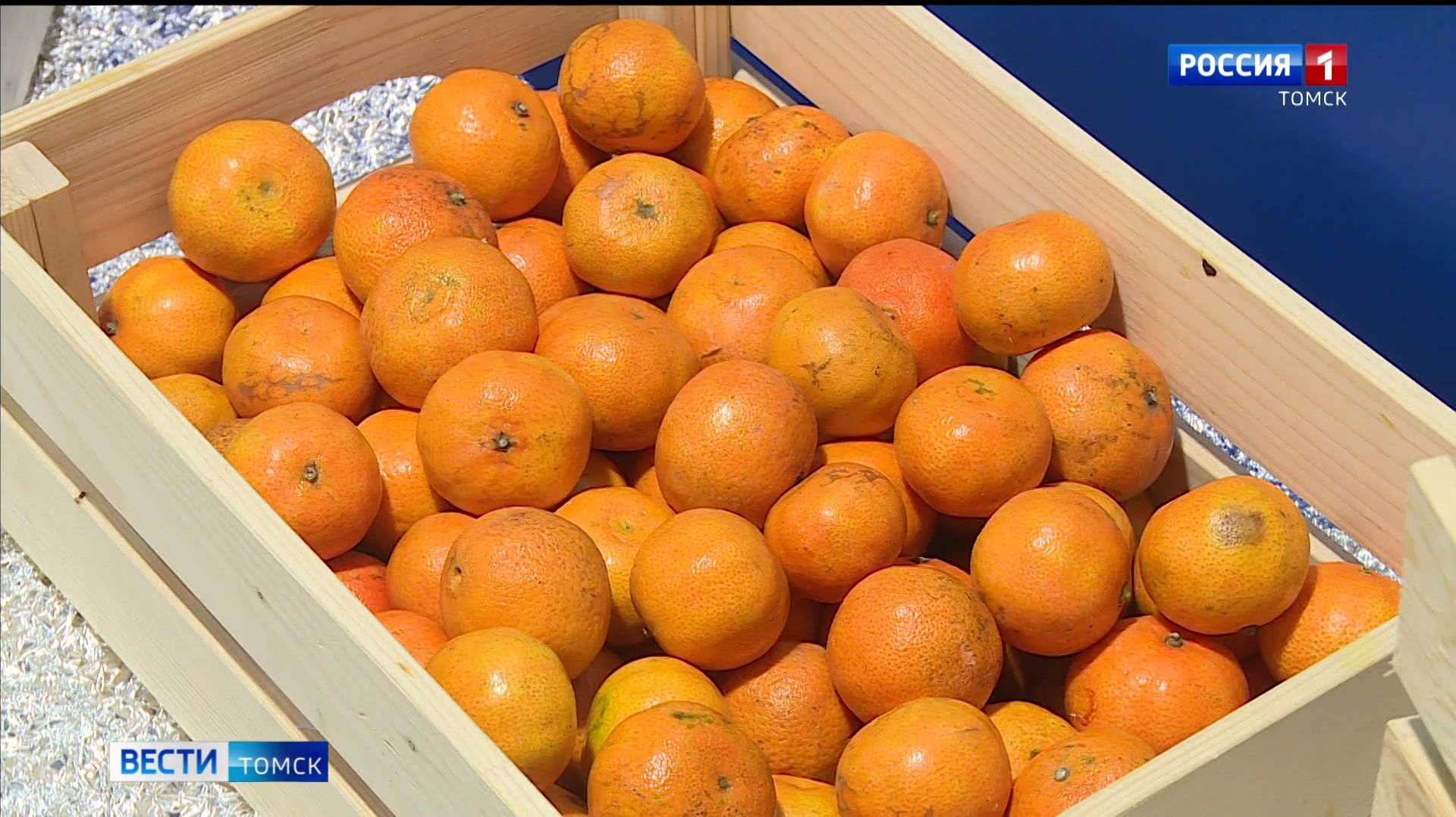 Вести-Томск, выпуск от 22.12.2025 21:10 смотреть онлайн