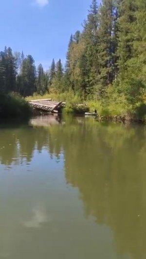 Сплав Тайга по реке Рудиковка Снесеный мост Рыбалка Охота Сибирь 2025