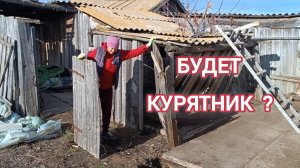 ОТВЕЧАЮ НА ВОПРОСЫ. ПРОДОЛЖАЮ ЛОМАТЬ САРАИ