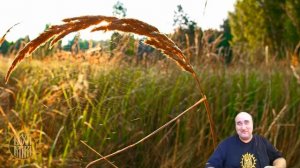 Механизм безнаказанности политических элиток при капитализме.