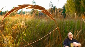 Что такое родовая карма.