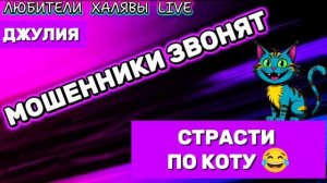 💫 ДЖУЛИЯ. СТРАСТИ ПО КОТУ | ТЕЛЕФОННЫЕ МОШЕННИКИ