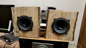 Колонки из получурок для телевизора в ванную комнату.