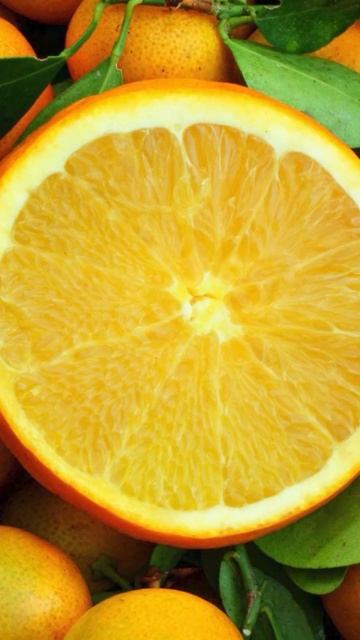 Кусочки яблок, цедра апельсина, палочки корицы, анис звездами, имбирь, кардамон, гвоздика.