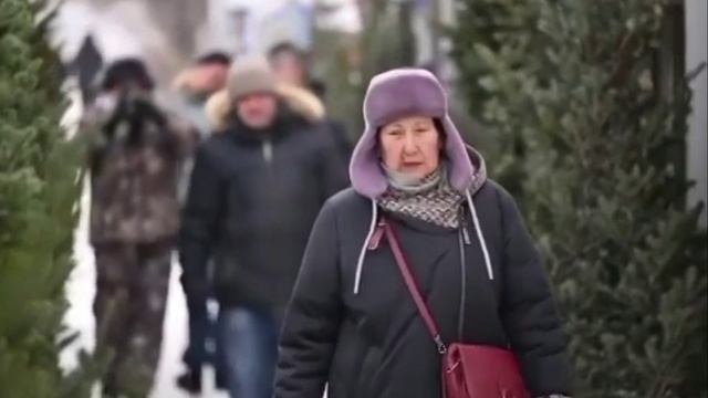 ёлочки сосёночки смотреть онлайн