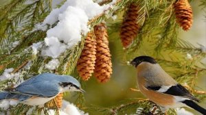 Жизнь пенсионеров в Нижегородской деревне 🏡 Хроника дня.