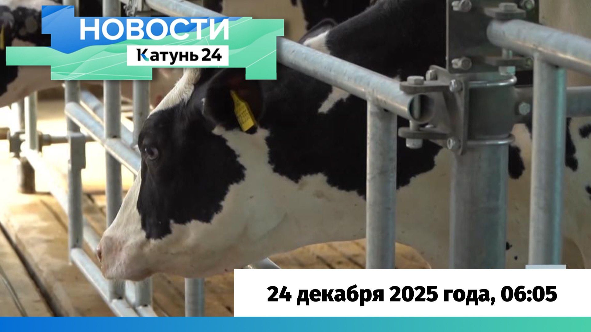 Новости Алтайского края 24 декабря 2025 года, выпуск в 6:05 смотреть онлайн