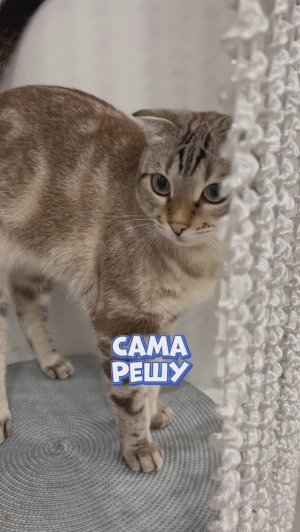 Так удобнее 😀