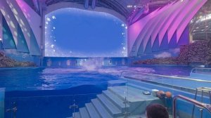 ДЕЛЬФИНАРИЙ 🆞 🐬 НОВОГОДНЯЯ ПРОГРАММА 🎄Приморский океанариум
