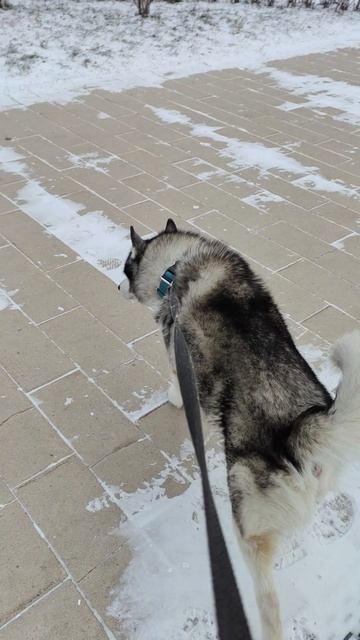 Практика при ходьбе, меняющая твою реальность смотреть онлайн