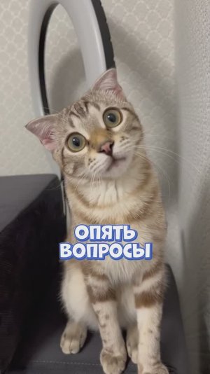 Какого цвета Форд?😀