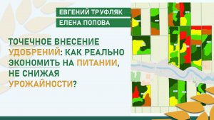 Точечное внесение удобрений: как реально экономить на питании, не снижая урожайности?