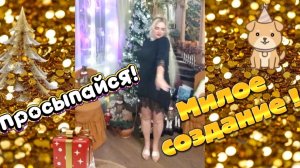 Просыпайся, милое создание! | Видео клип на стихи Иоллы |Новинки музыки 2026