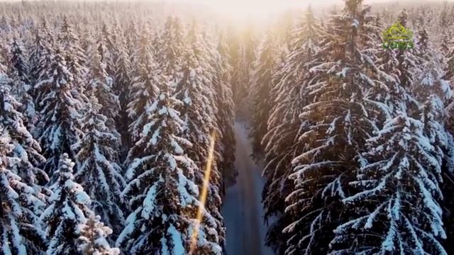 Стихи над миром. Стихотворения Зинаиды Миркиной смотреть онлайн