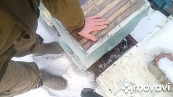 ЧП на пасеке. продолжаю эксперимент по зимовке пчёл в ппс ульях.