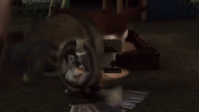 1000003914.mp4 смотреть онлайн