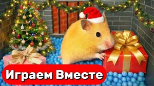 УМНЫЙ ХОМЯК СБЕГАЕТ ИЗ СЕКРЕТНОЙ ТЮРЬМЫ С ЛОВУШКАМИ 🐹 ВИДЕО ПРО ХОМЯКА ДЛЯ ДЕТЕЙ часть 6